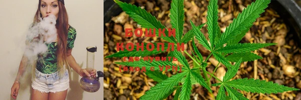 кокс Кинешма