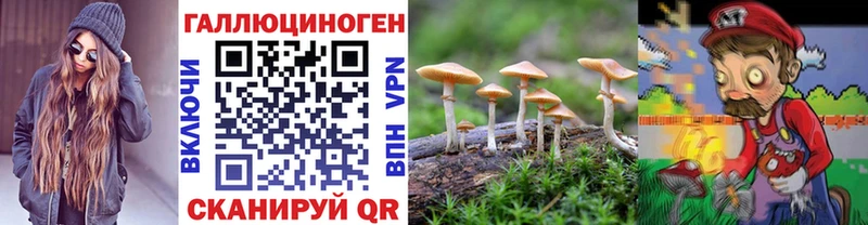 Псилоцибиновые грибы прущие грибы  Лодейное Поле 